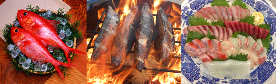 サカナチカラコウチカラ おいしい高知のお魚が食べられるお店 買えるお店 高知の魚を応援してくださっているお店をご紹介しています